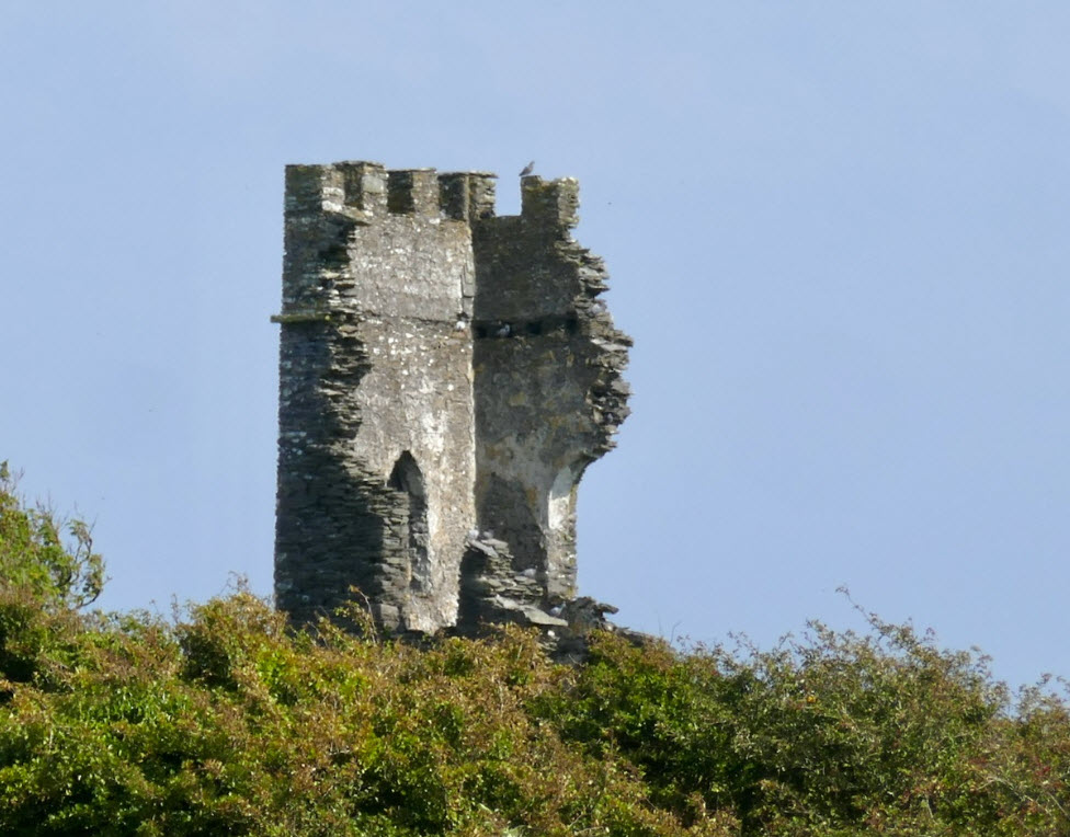 Castle Downeen Estate Tower, Ireland